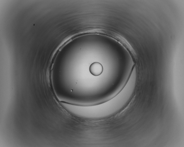 X0000113111284200909041239