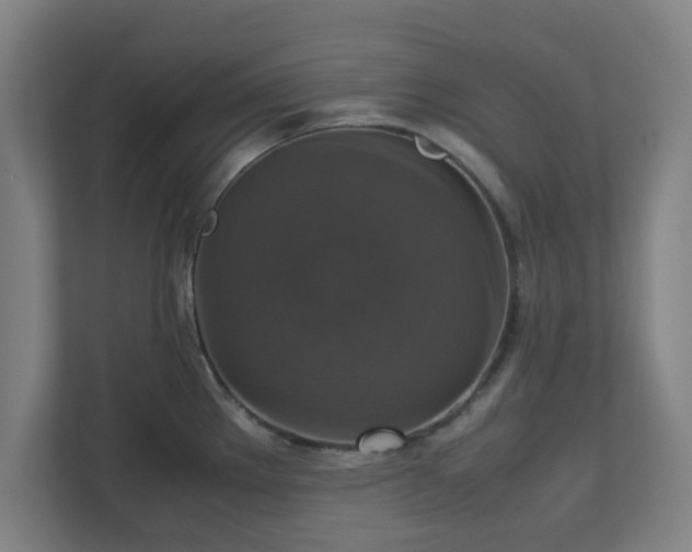 X0000113111289200909041238