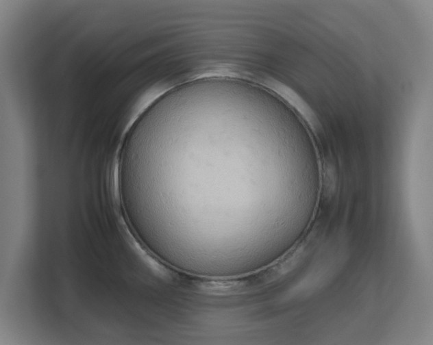 X0000113111290200909041238