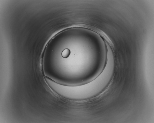 X0000113111292200909041238