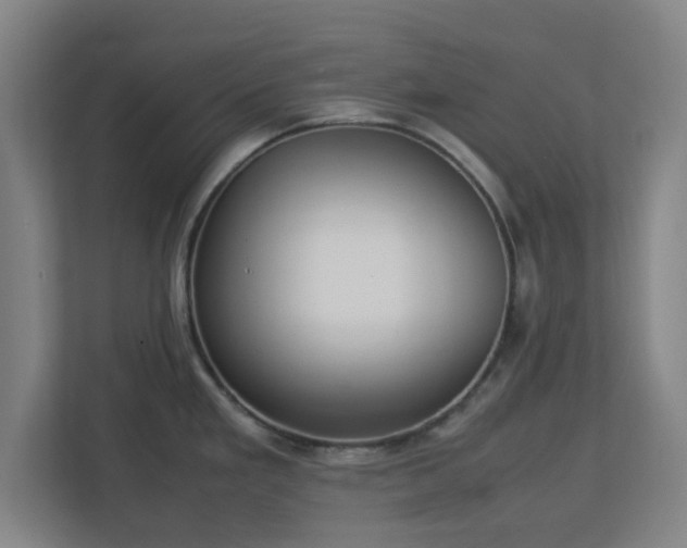 X0000113111293200909041238