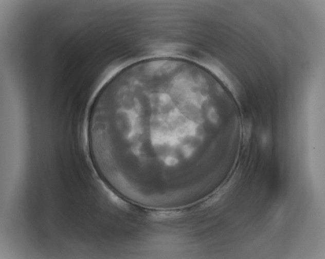X0000113111294200909041238