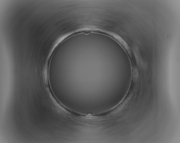 X0000113111295200909041238