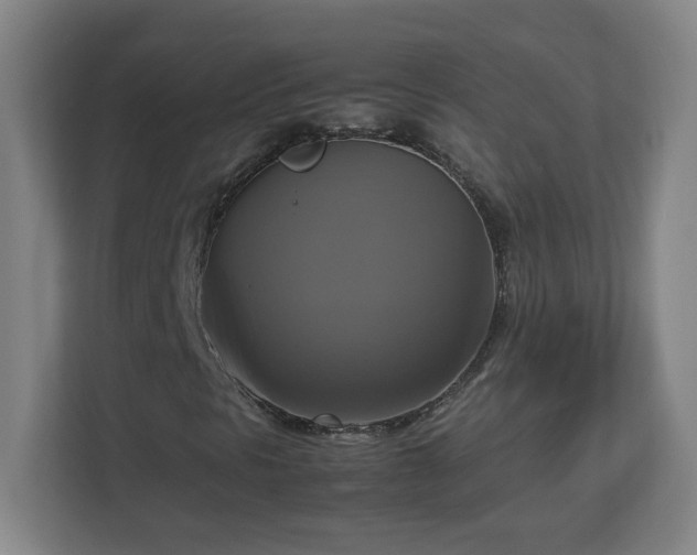 X0000113111297200909041238