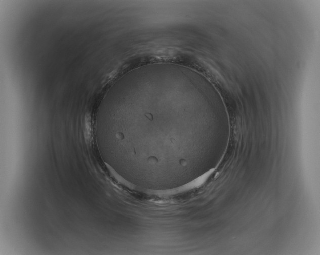 X0000113111298200909041238