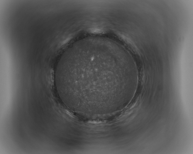X0000113111301200909041238