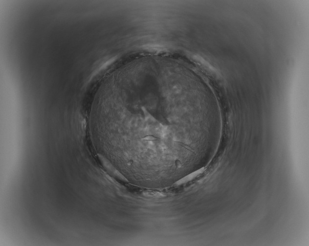 X0000113111302200909041238