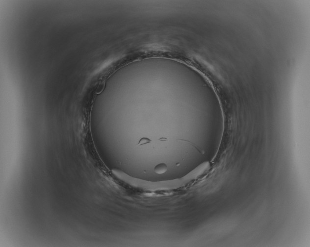 X0000113111303200909041238