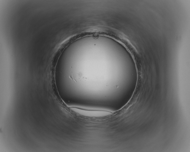 X0000113111304200909041238