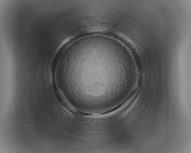 X0000113111306200909041238