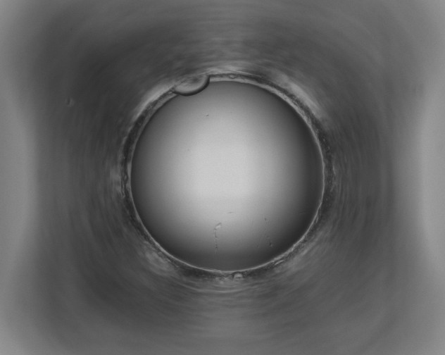 X0000113111308200909041238