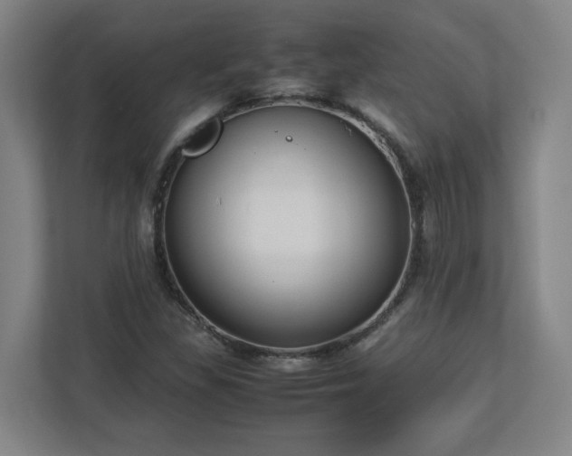 X0000113111309200909041238