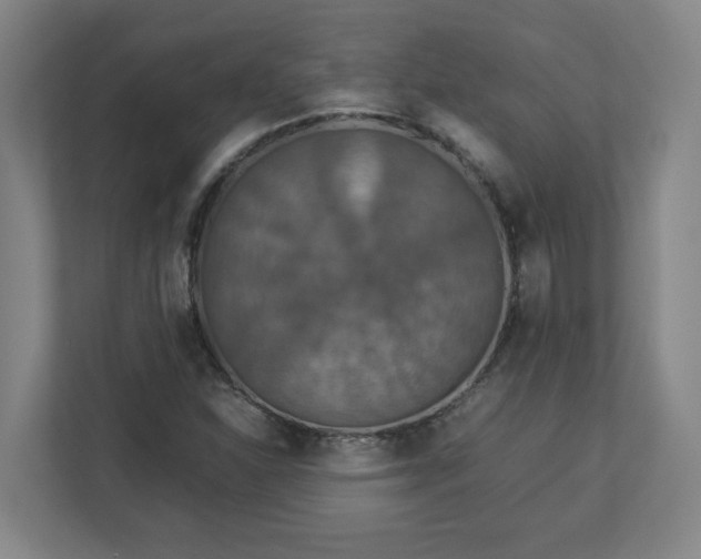 X0000113111310200909041238