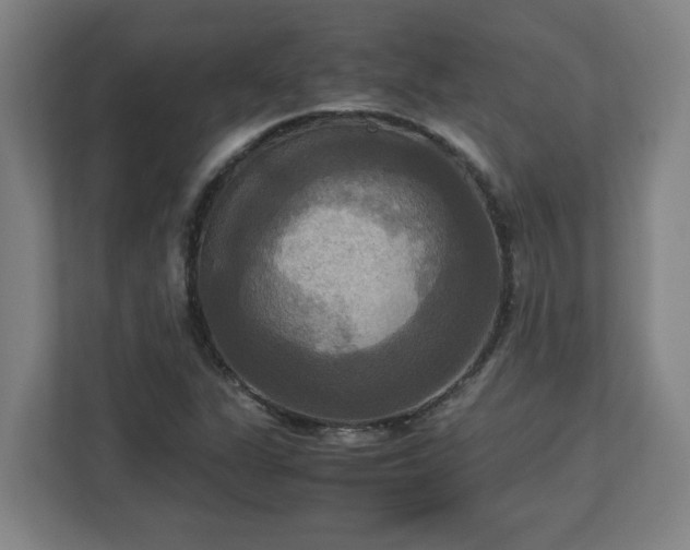 X0000113111311200909041238
