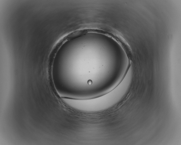 X0000113111312200909041238