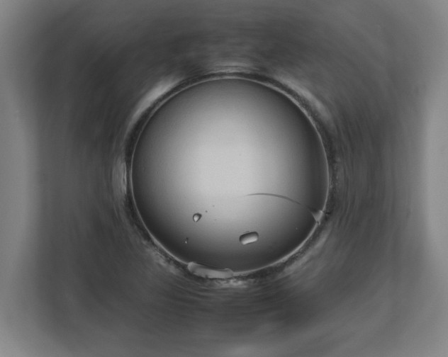 X0000113111317200909041238
