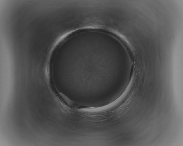 X0000113111319200909041238