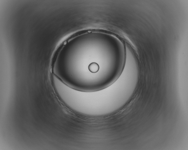 X0000113111320200909041238
