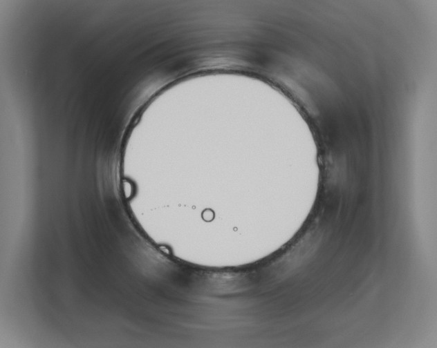 X0000113111322200909041238