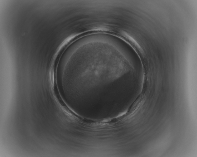 X0000113111323200909041238