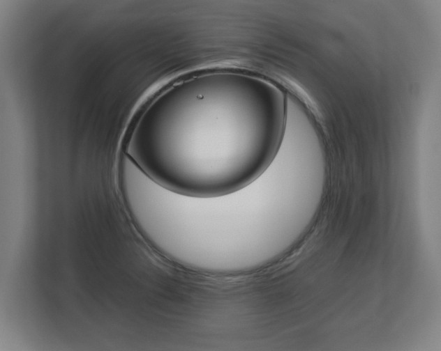 X0000113111324200909041238