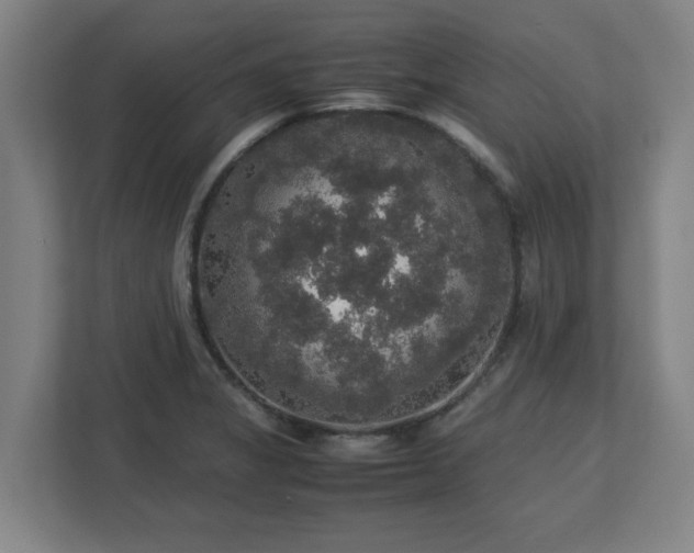 X0000113111325200909041238