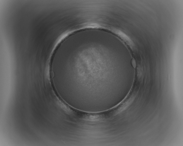 X0000113111326200909041238