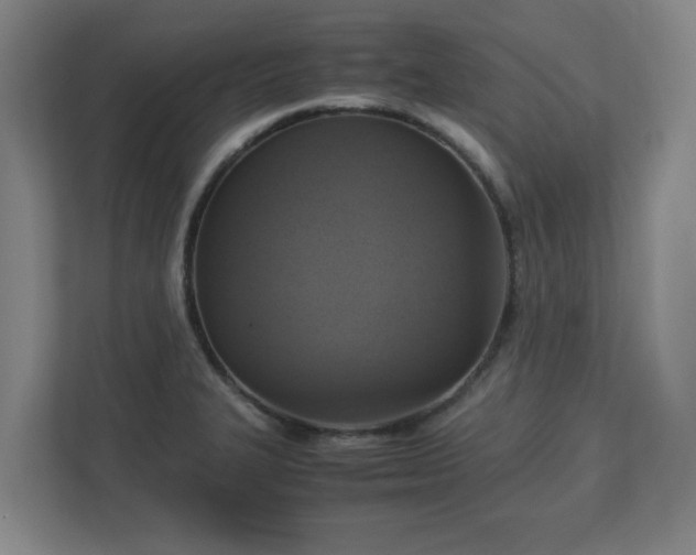X0000113111327200909041238