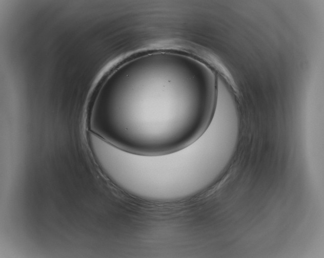 X0000113111328200909041238
