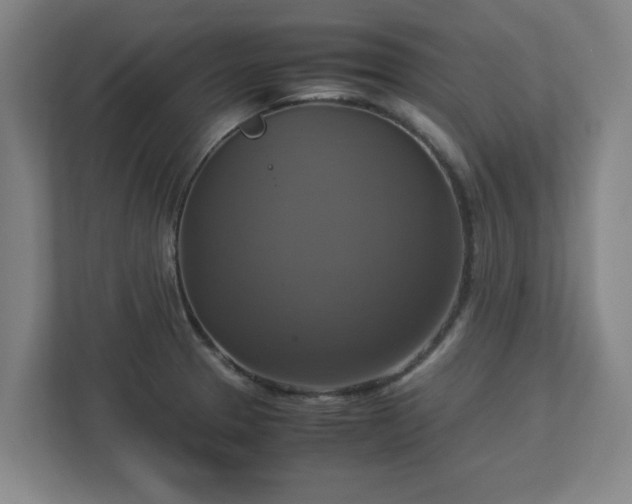 X0000113111329200909041238