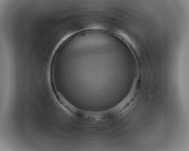 X0000113111331200909041238