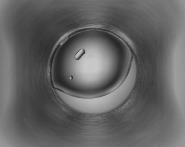 X0000113111332200909041238