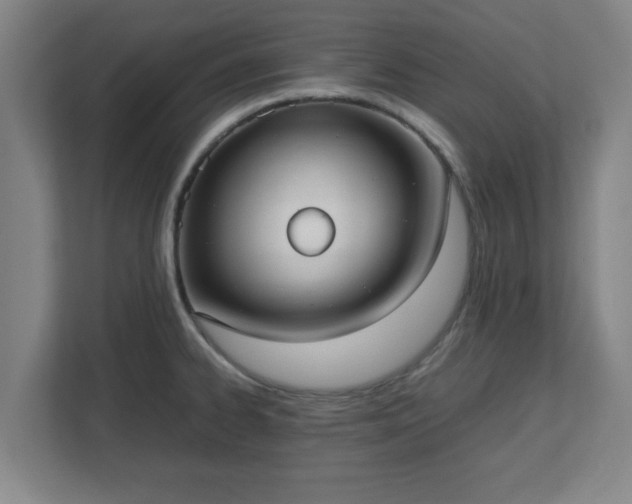 X0000113111334200909041238