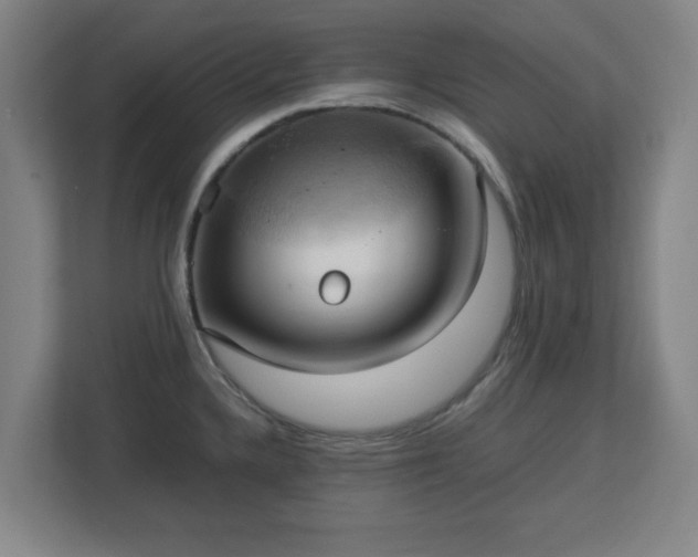 X0000113111336200909041238