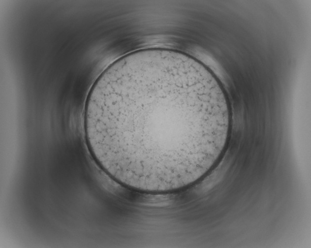 X0000113111338200909041238