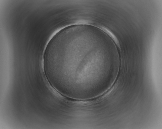 X0000113111340200909041238
