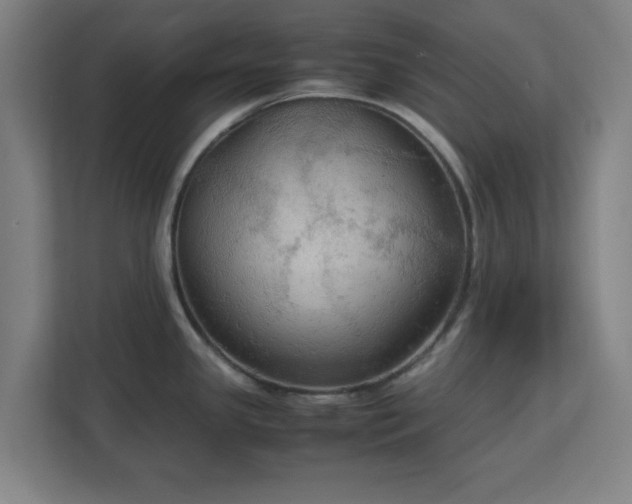 X0000113111341200909041238