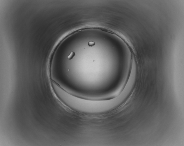 X0000113111342200909041238