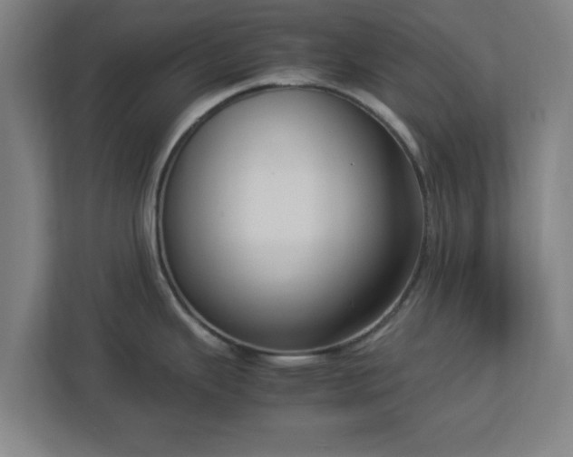 X0000113111343200909041238