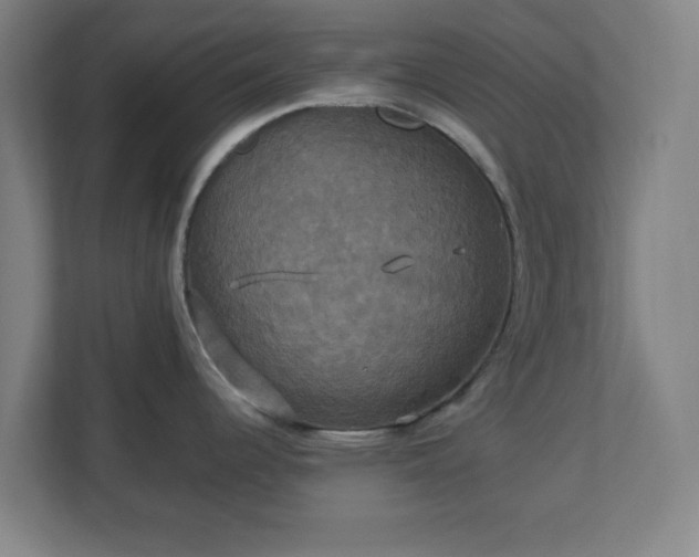 X0000113111344200909041238