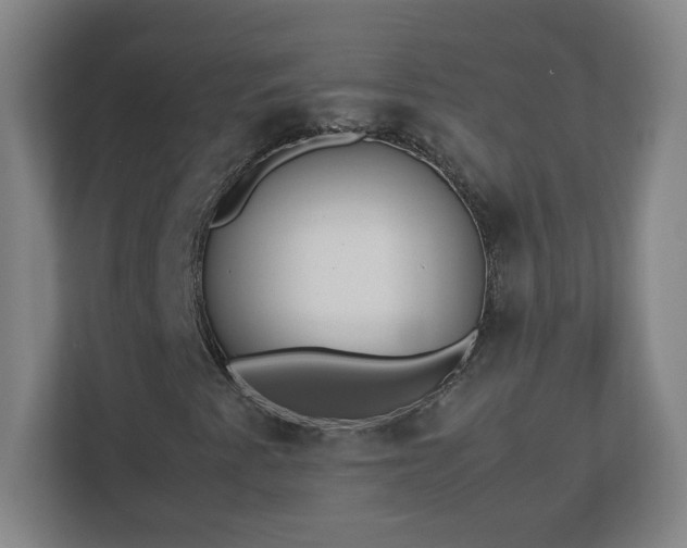 X0000113111345200909041238