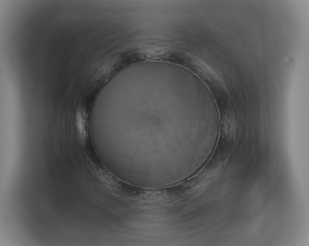 X0000113111346200909041238