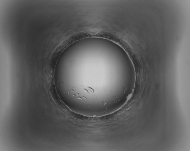 X0000113111349200909041238