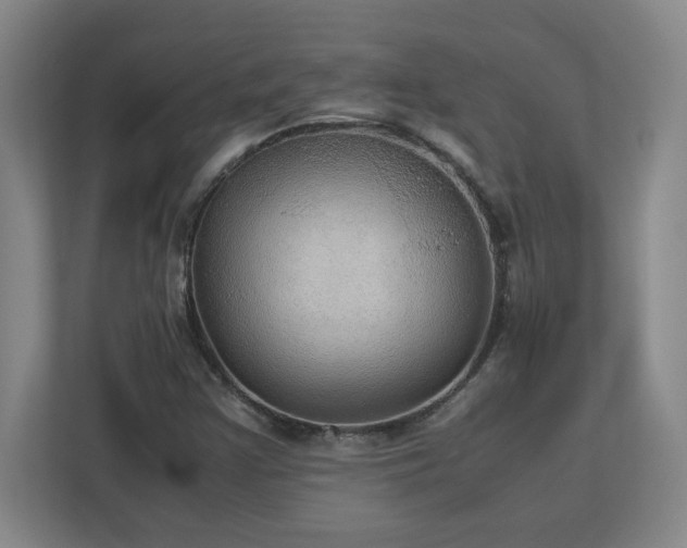 X0000113111355200909041238