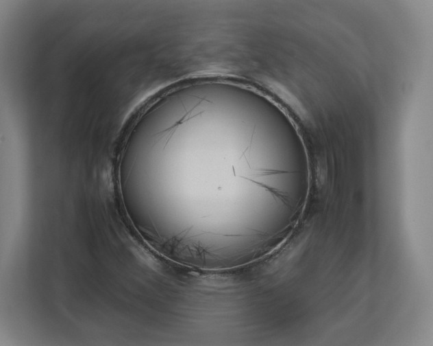 X0000113111356200909041238