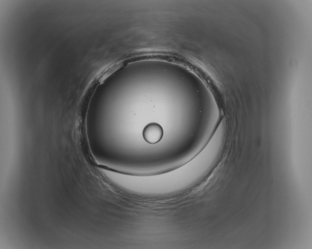 X0000113111357200909041238