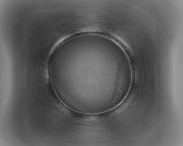 X0000113111358200909041238