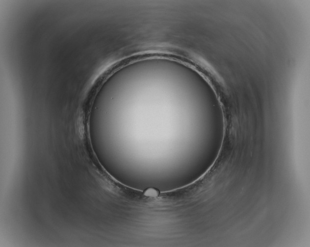 X0000113111360200909041238