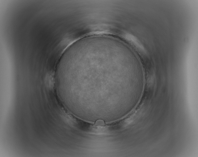X0000113111361200909041238