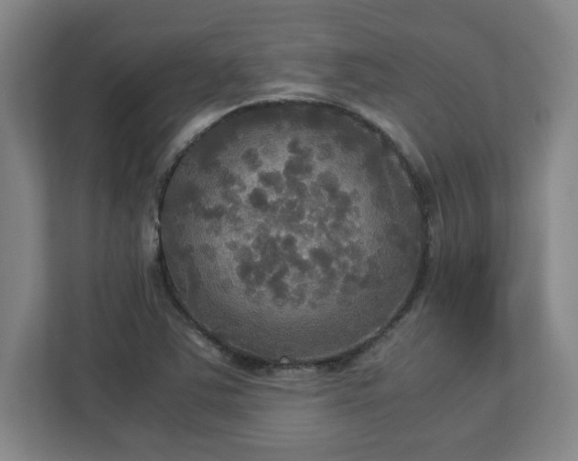 X0000113111363200909041237
